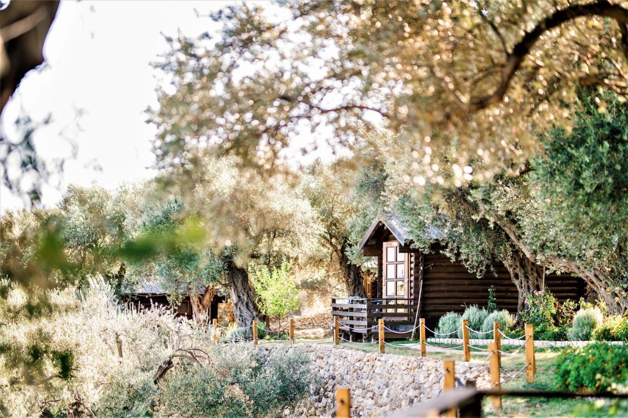 Holiday Park Olive Tree Ούλτσιν Εξωτερικό φωτογραφία