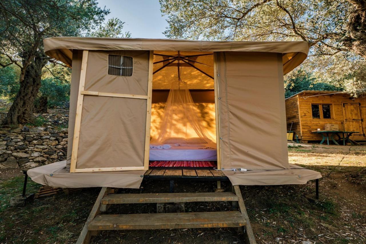 Holiday Park Olive Tree Ούλτσιν Εξωτερικό φωτογραφία