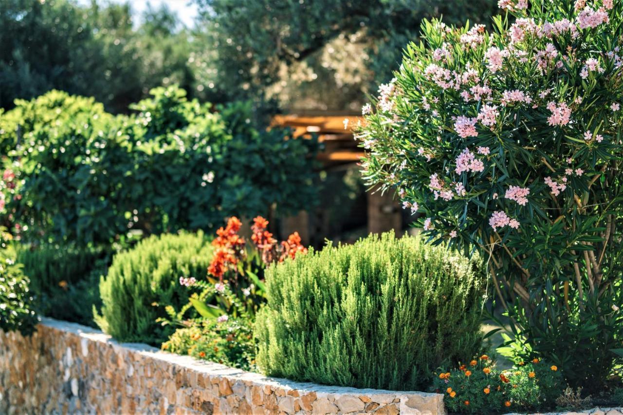 Holiday Park Olive Tree Ούλτσιν Εξωτερικό φωτογραφία