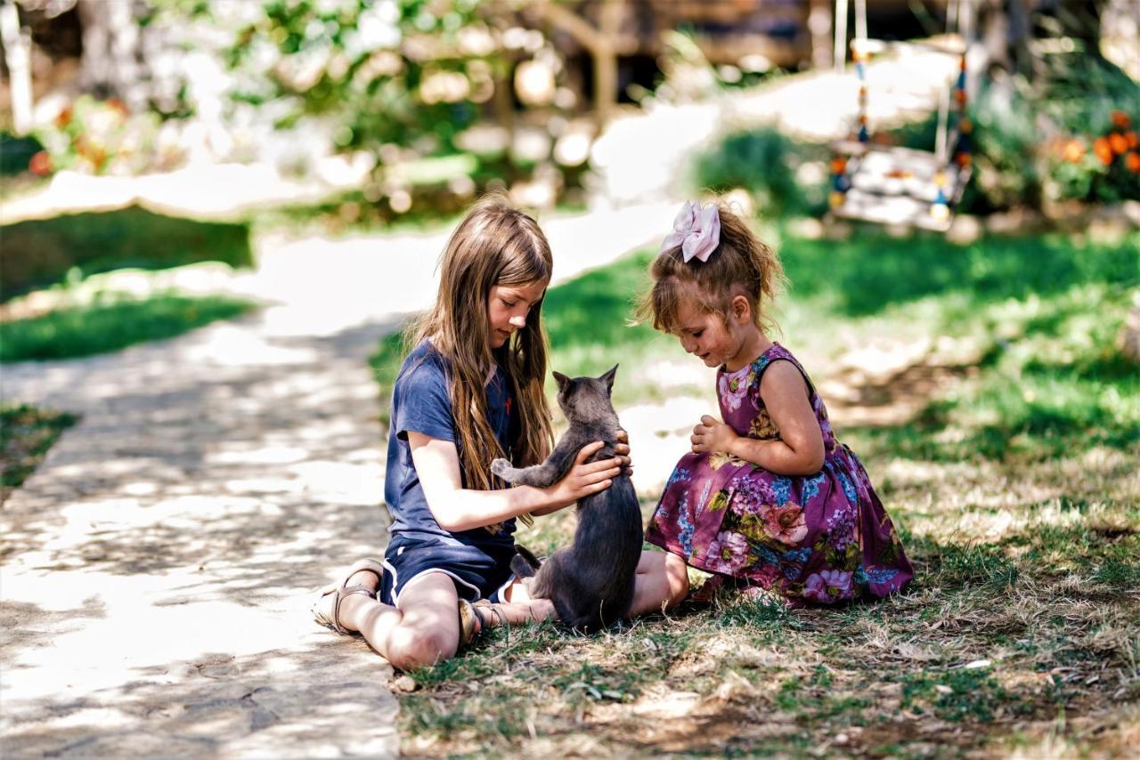 Holiday Park Olive Tree Ούλτσιν Εξωτερικό φωτογραφία