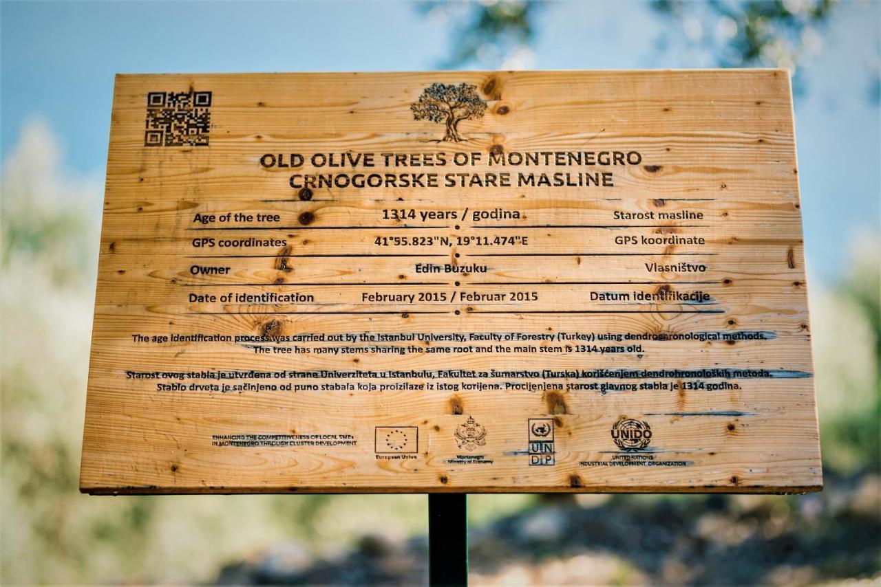 Holiday Park Olive Tree Ούλτσιν Εξωτερικό φωτογραφία