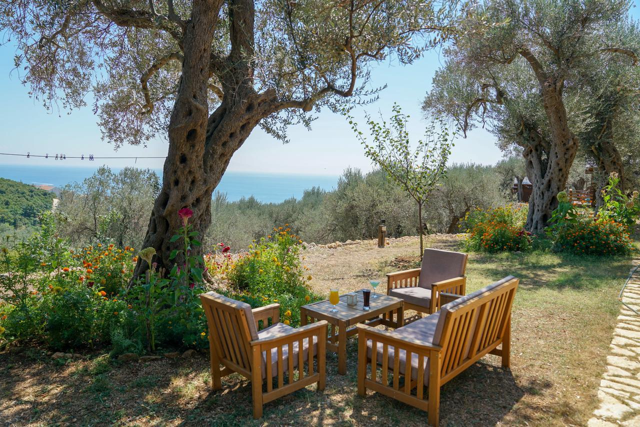 Holiday Park Olive Tree Ούλτσιν Εξωτερικό φωτογραφία