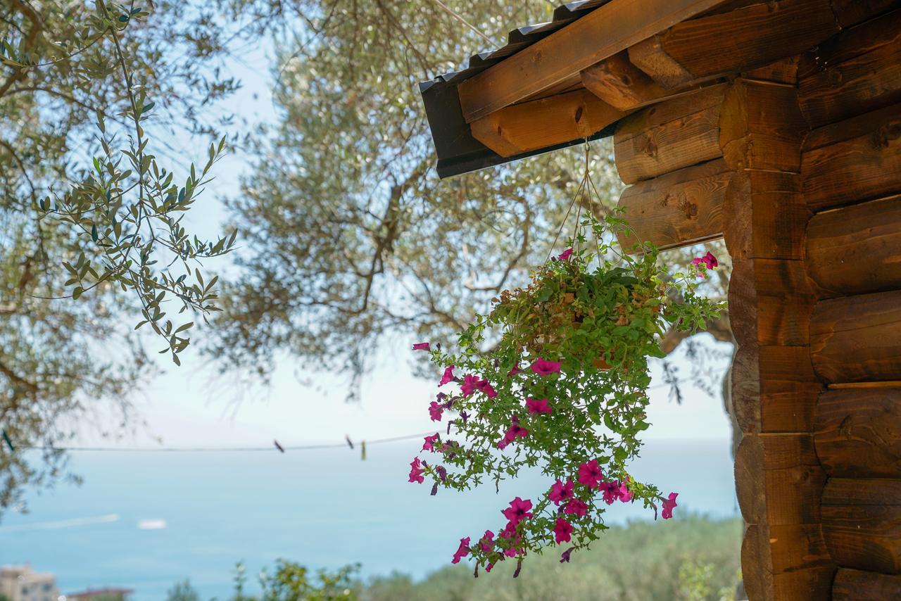 Holiday Park Olive Tree Ούλτσιν Εξωτερικό φωτογραφία